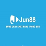 Аватар профиля Jun88
